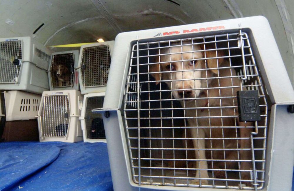 105077722-GettyImages-55743419